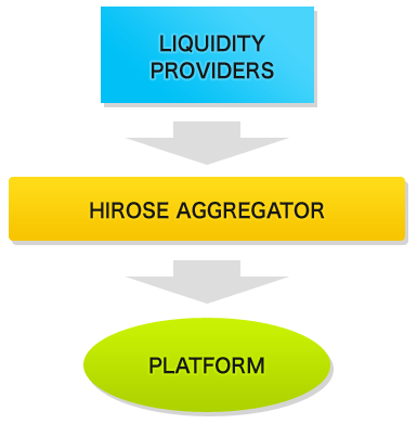 Binary option liquidity provider